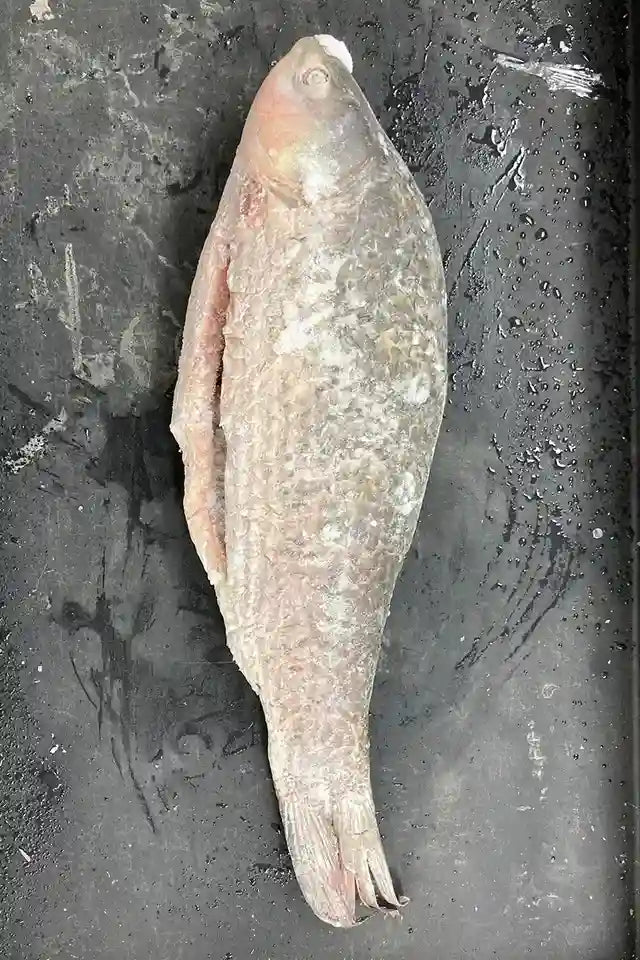 Halal Whole Rahu Fish (Scales Removed) from Karim Meats | WeDoHalal Edmonton